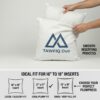 pillow cover 2 Throw Pillow Cover
